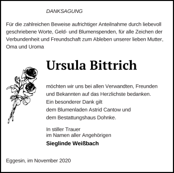 Traueranzeige von Ursula Bittrich von Haff-Zeitung