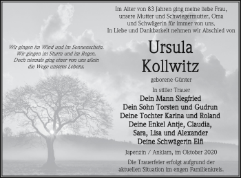 Traueranzeige von Ursula Kollwitz von Vorpommern Kurier