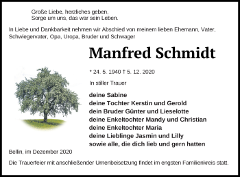 Traueranzeige von Manfred Schmidt von Haff-Zeitung