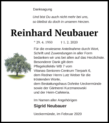 Traueranzeige von Reinhard Neubauer von Haff-Zeitung