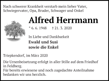 Traueranzeige von Alfred Herrmann von Strelitzer Zeitung