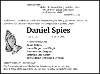 Traueranzeige von Daniel Spies von Mecklenburger Schweiz