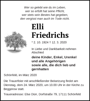 Traueranzeige von Elli Friedrichs von Demminer Zeitung