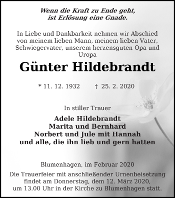 Traueranzeige von Günter Hildebrandt von Pasewalker Zeitung