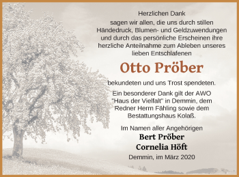 Traueranzeige von Otto Pröber von Demminer Zeitung