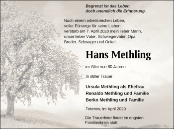 Traueranzeige von Hans Methling von Mecklenburger Schweiz