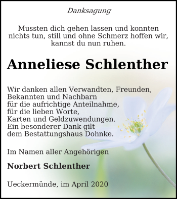 Traueranzeige von Anneliese Schlenther von Haff-Zeitung