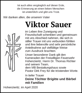 Traueranzeige von Viktor Sauer von Strelitzer Zeitung