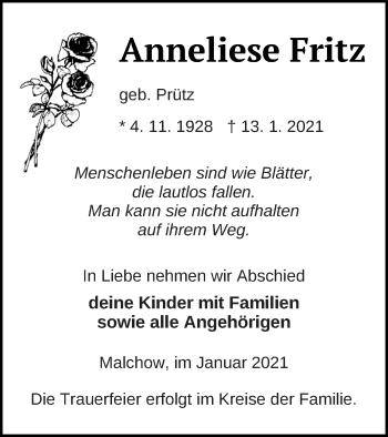 Traueranzeige von Anneliese Fritz von Müritz-Zeitung