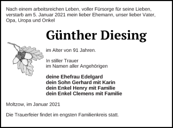 Traueranzeige von Günther Diesing von Müritz-Zeitung