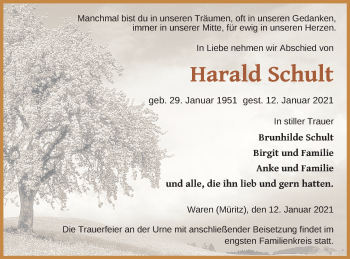 Traueranzeige von Harald Schult von Müritz-Zeitung
