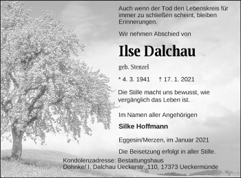 Traueranzeige von Ilse Dalchau von Haff-Zeitung