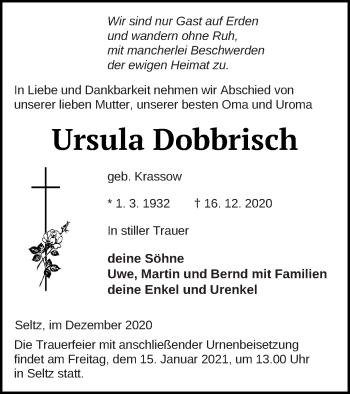 Traueranzeige von Ursula Dobbrisch von Neubrandenburger Zeitung