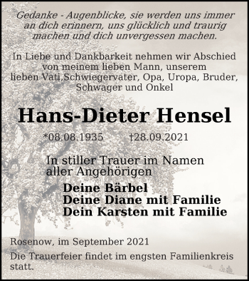 Traueranzeige von Hans-Dieter Hensel von Neubrandenburger Zeitung