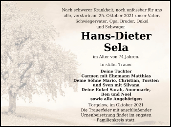 Traueranzeige von Hans-Dieter Sela von Haff-Zeitung