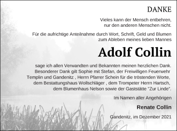 Traueranzeige von Adolf Collin von Templiner Zeitung