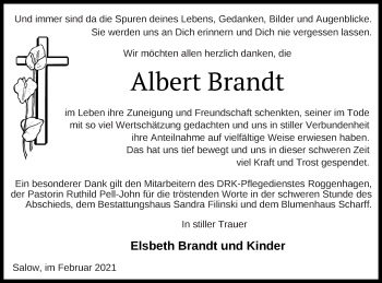 Traueranzeige von Albert Brandt von Neubrandenburger Zeitung