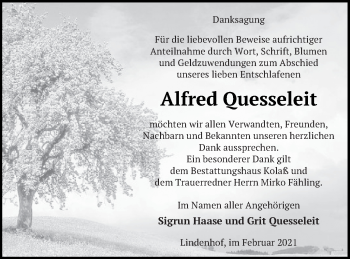 Traueranzeige von Alfred Quesseleit von Demminer Zeitung