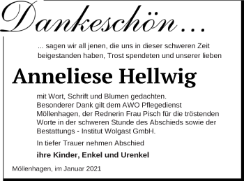 Traueranzeige von Anneliese Hellwig von Müritz-Zeitung
