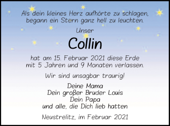 Traueranzeige von Collin  von Strelitzer Zeitung