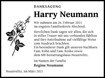 Traueranzeige von Harry Neumann von Strelitzer Zeitung