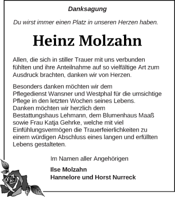 Traueranzeige von Heinz Molzahn von Strelitzer Zeitung