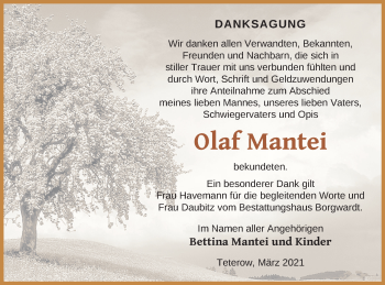 Traueranzeige von Olaf Mantei von Mecklenburger Schweiz