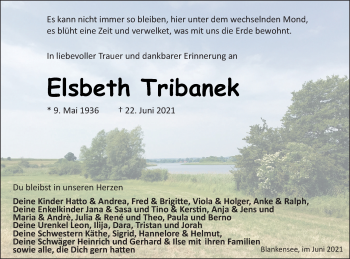 Traueranzeige von Elsbeth Tribanek von Strelitzer Zeitung