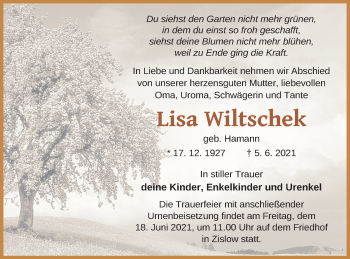 Traueranzeige von Lisa Wiltschek von Müritz-Zeitung