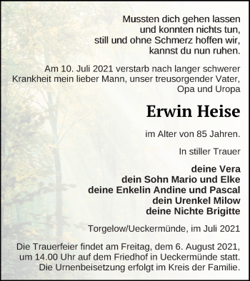 Traueranzeige von Erwin Heise von Haff-Zeitung