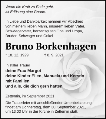 Traueranzeige von Bruno Borkenhagen von Mecklenburger Schweiz