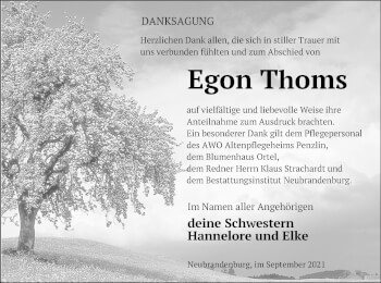 Traueranzeige von Egon Thoms von Neubrandenburger Zeitung