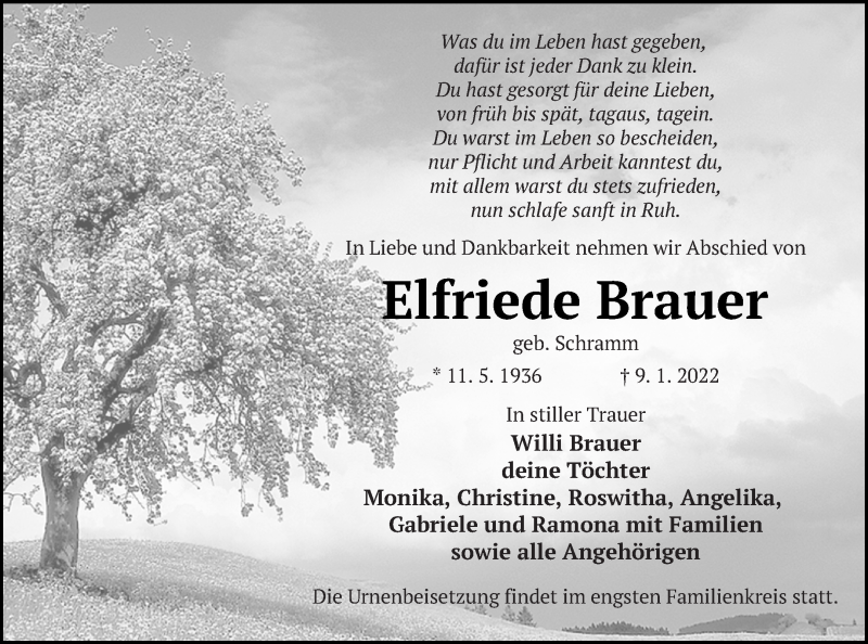  Traueranzeige für Elfriede Brauer vom 14.01.2022 aus Neubrandenburger Zeitung
