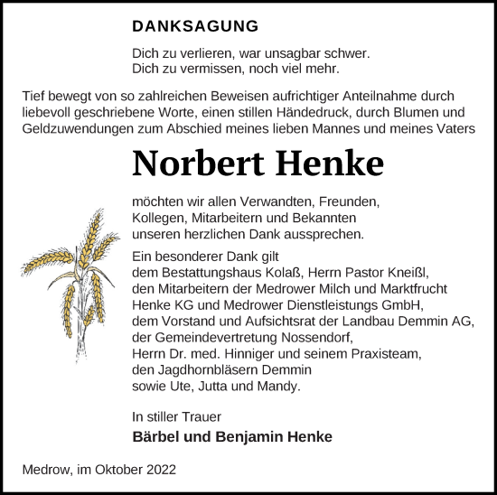 Traueranzeige von Norbert Henke von Demminer Zeitung