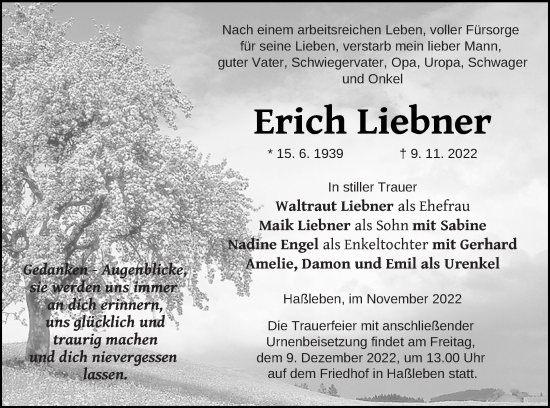 Traueranzeige von Erich Liebner von Templiner Zeitung