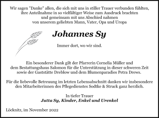 Traueranzeige von Johannes Sy von Pasewalker Zeitung