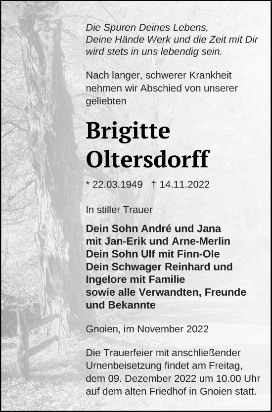 Traueranzeige von Brigitte Oltersdorff von Mecklenburger Schweiz