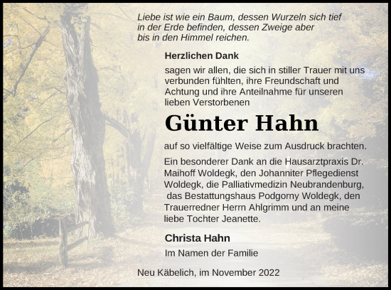 Traueranzeige von Günter Hahn von Neubrandenburger Zeitung