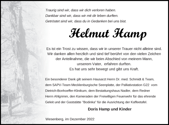 Traueranzeige von Helmut Hamp von Strelitzer Zeitung