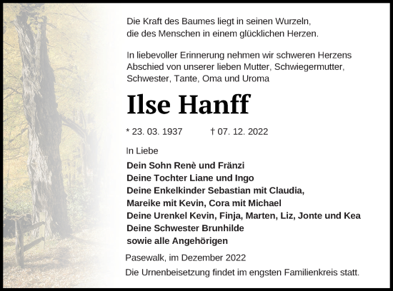 Traueranzeige von Ilse Hanff von Pasewalker Zeitung