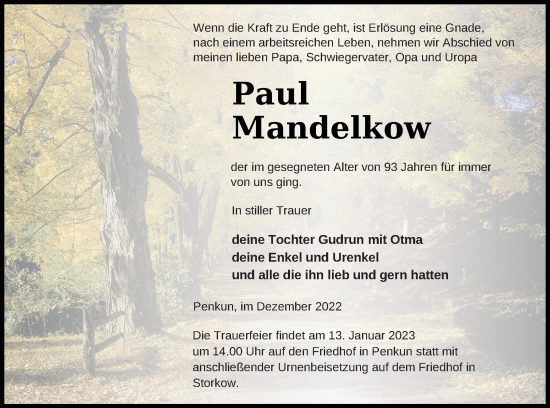 Traueranzeige von Paul Mandelkow von Pasewalker Zeitung