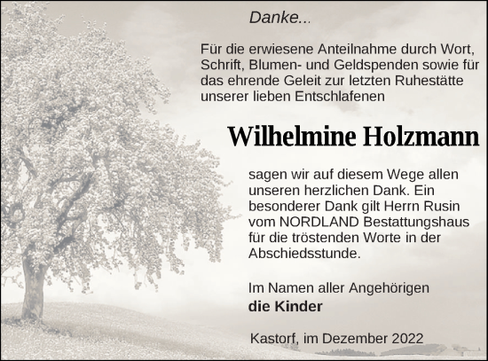 Traueranzeige von Wilhelmine Holzmann von Neubrandenburger Zeitung