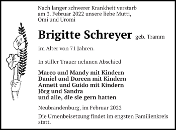 Traueranzeige von Brigitte Schreyer von Müritz-Zeitung