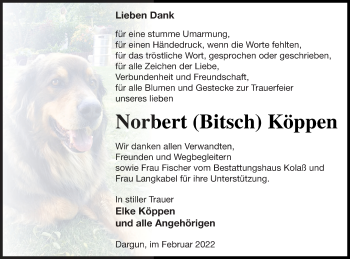 Traueranzeige von Norbert Köppen von Mecklenburger Schweiz