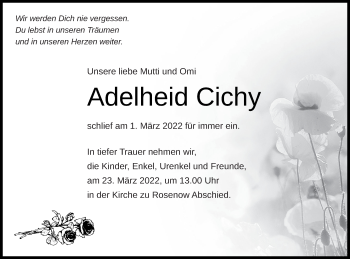 Traueranzeige von Adelheid Cichy von Neubrandenburger Zeitung