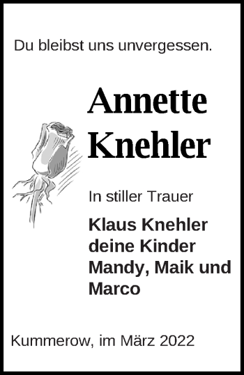 Traueranzeige von Annette Knehler von Mecklenburger Schweiz