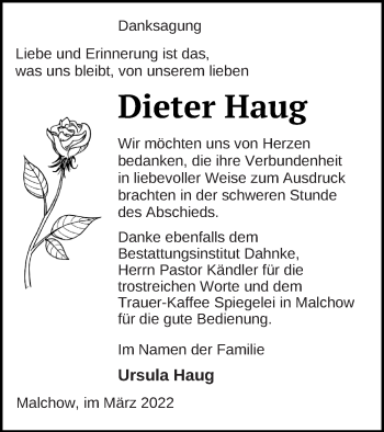 Traueranzeige von Dieter Haug von Müritz-Zeitung