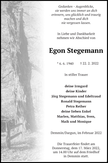 Traueranzeige von Egon Stegemann von Demminer Zeitung