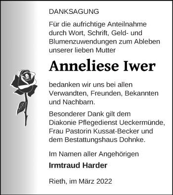 Traueranzeige von Anneliese Iwer von Haff-Zeitung