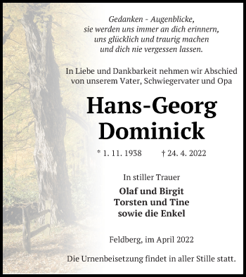 Traueranzeige von Hans-Georg Dominick von Strelitzer Zeitung